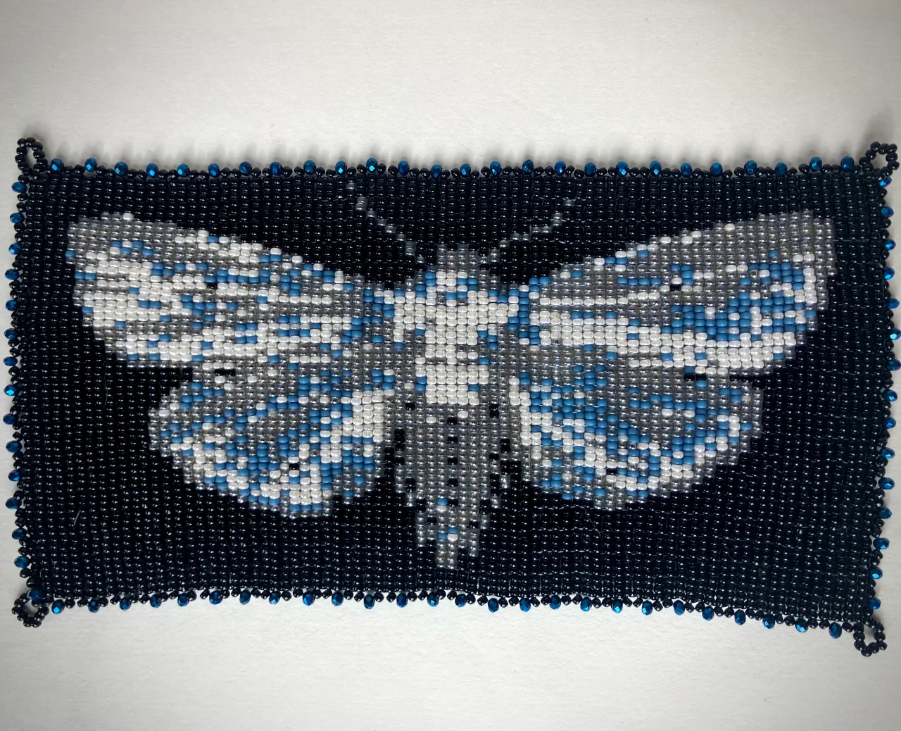 Beaded Moth